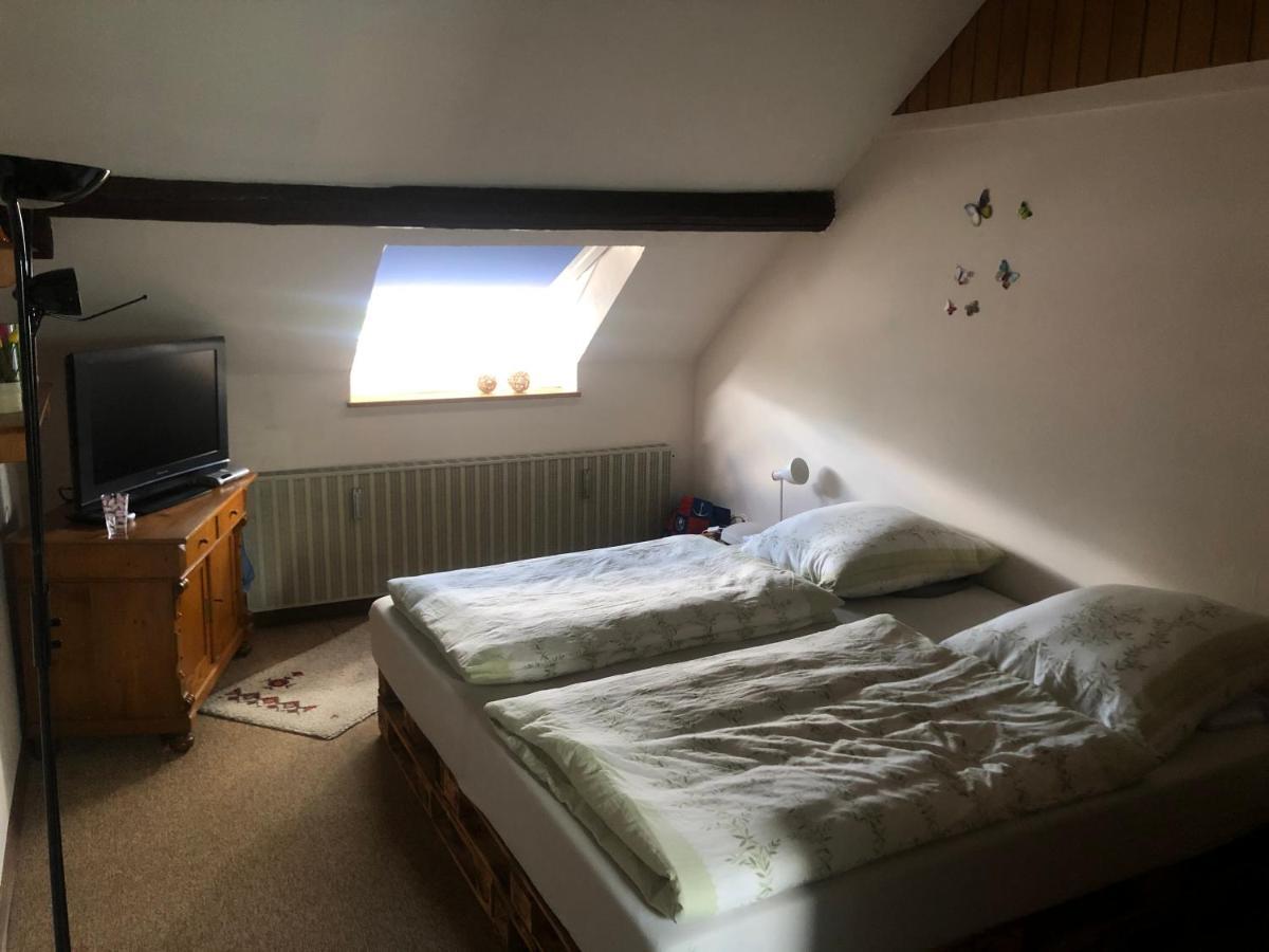 Ironico Homestay 4 Schlafzimmer Ferienwohnung 100 M2 Nahe Bostalsee Eisen  Bagian luar foto