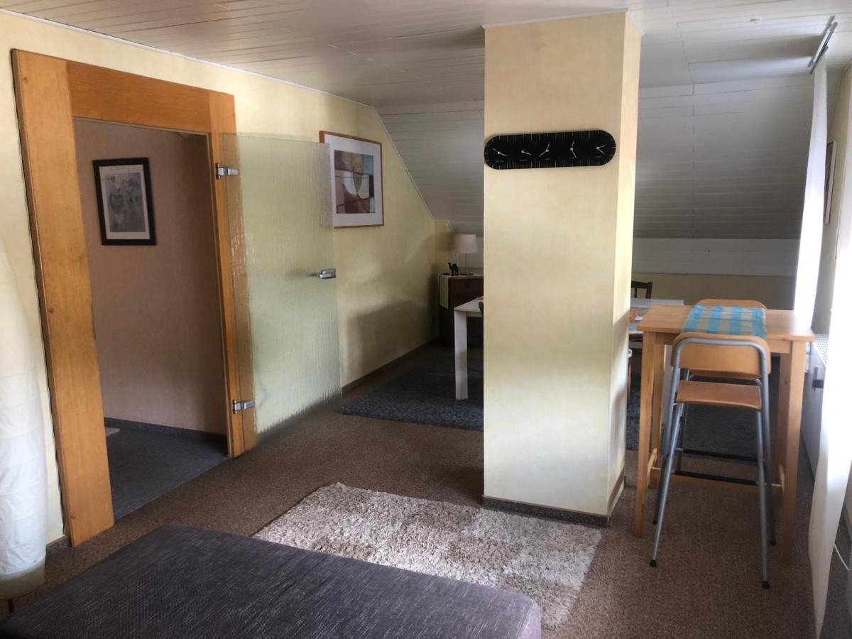 Ironico Homestay 4 Schlafzimmer Ferienwohnung 100 M2 Nahe Bostalsee Eisen  Bagian luar foto